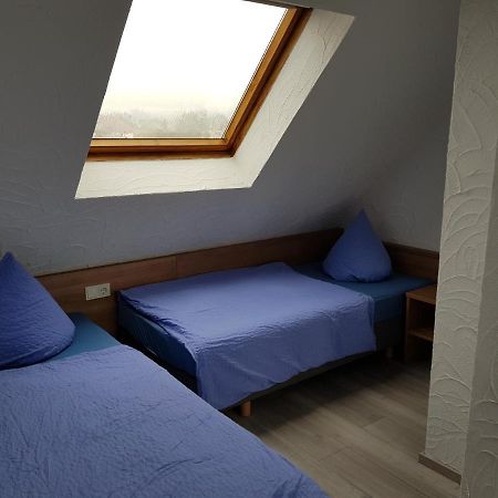 Gäste-und Apartmenthaus Weller Saarbrücken Exterior foto